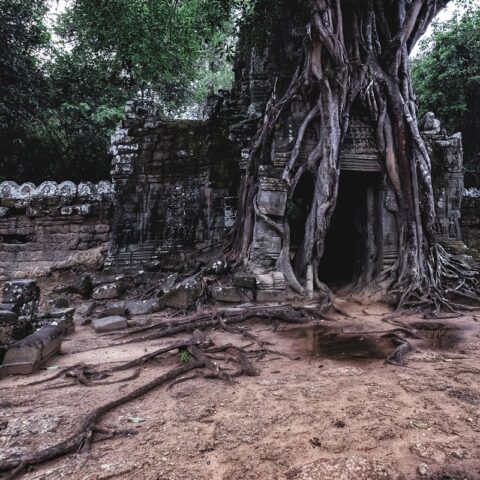 Angkor - Ta Som