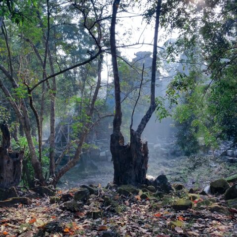 Angkor - Banteay Kdei