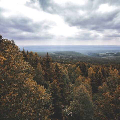Drei Annen Hohne - Blick vom Trudenstein